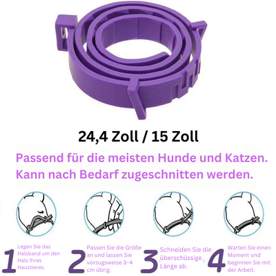 Anti-Stress-Halsband mit natürlichen Pheromonen