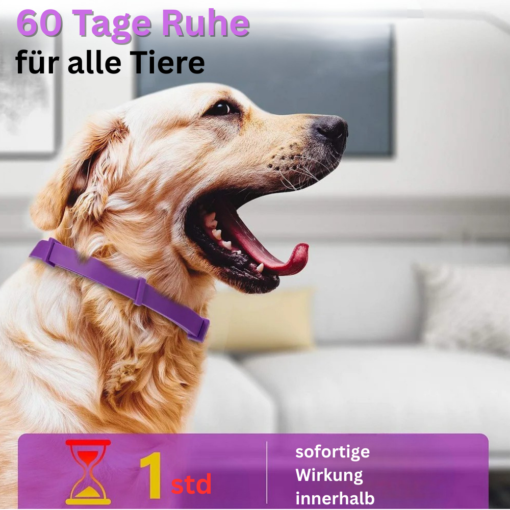 Anti-Stress-Halsband mit natürlichen Pheromonen