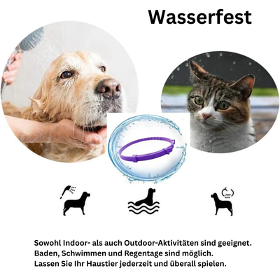 Anti-Stress-Halsband mit natürlichen Pheromonen