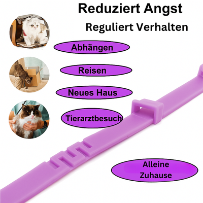 Anti-Stress-Halsband mit natürlichen Pheromonen