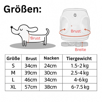 Katzen- & Hundegeschirr mit Leine