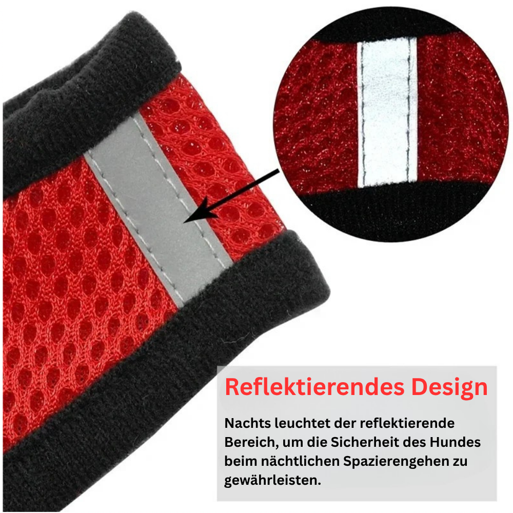 Katzen- & Hundegeschirr mit Leine