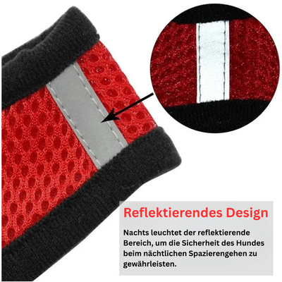 Katzen- & Hundegeschirr mit Leine