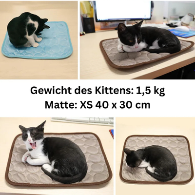 Kühlende Hunde/-Katzenmatte