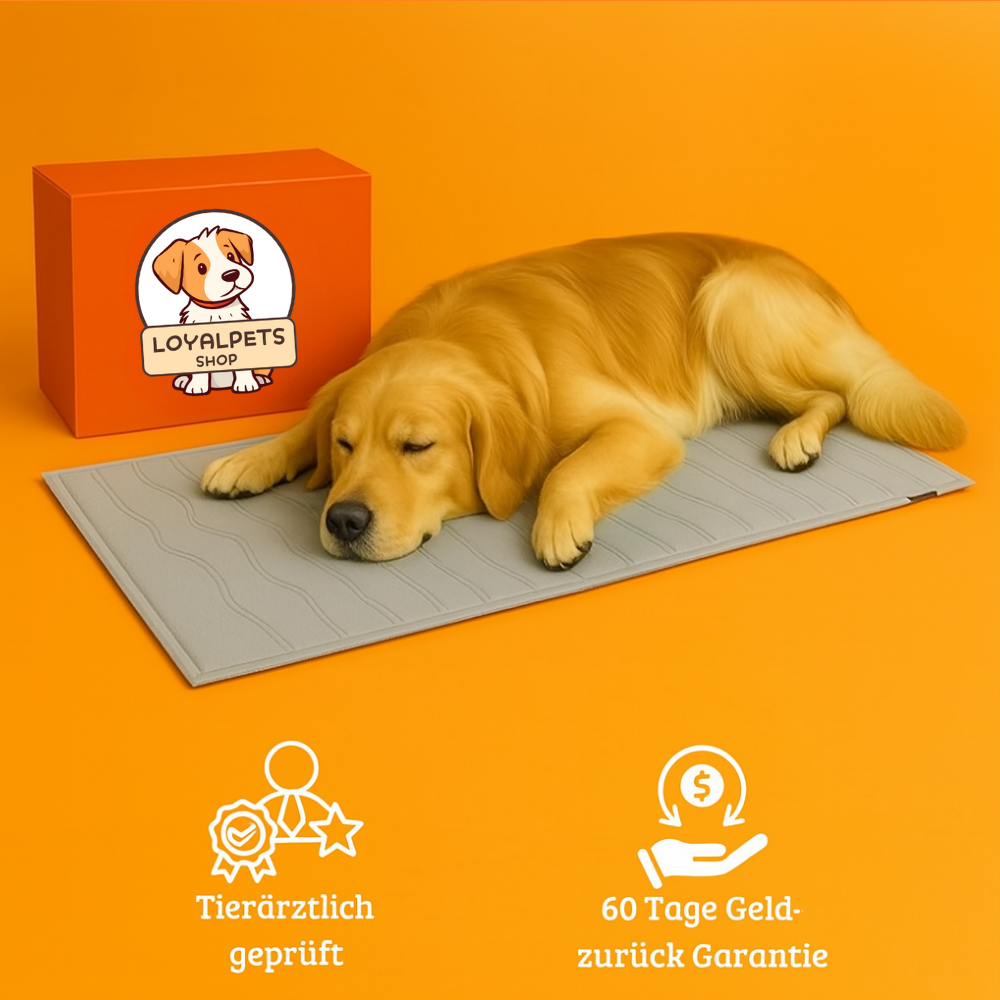 CoolPad LoyalPets - Premium Kühlmatte für Hunde
