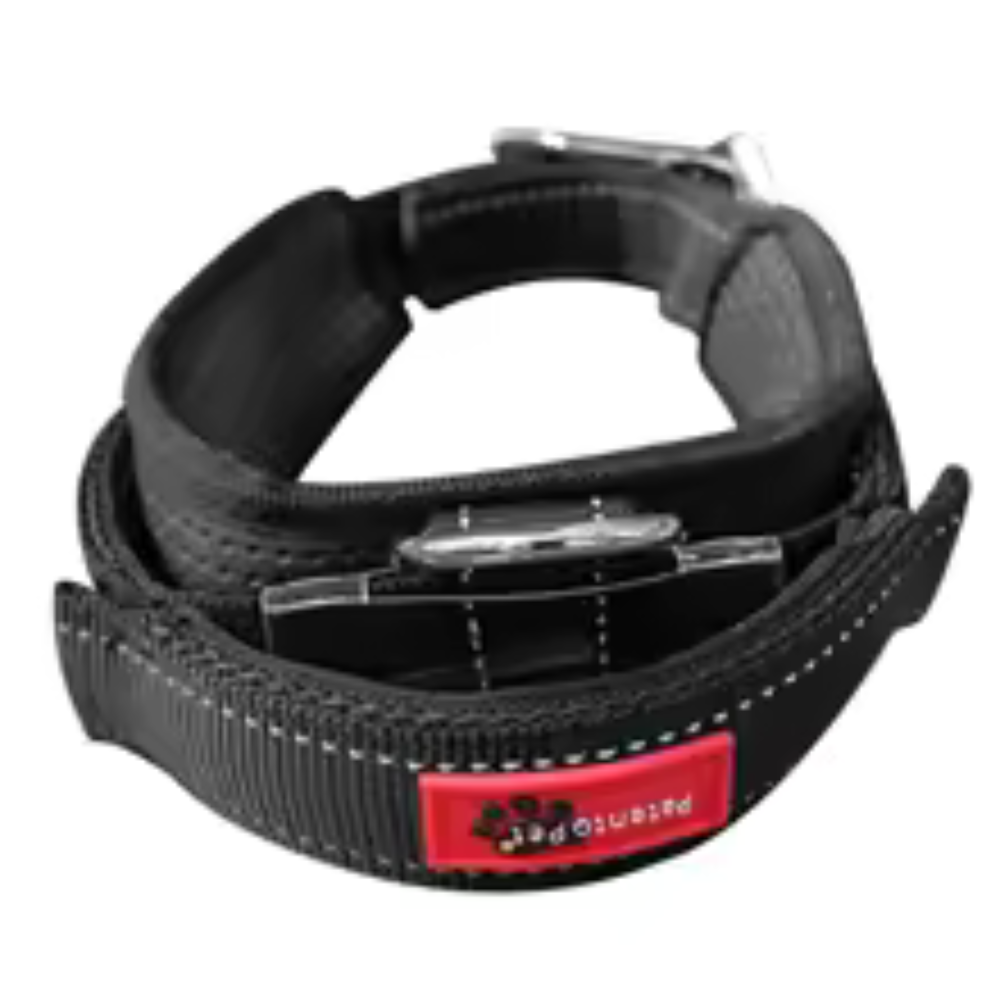 Verstellbares Halsband für Hunde & Katzen