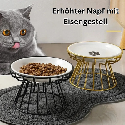 Erhöhter Napf