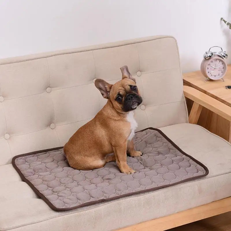 Kühlende Hunde/-Katzenmatte