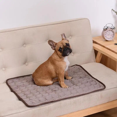 Kühlende Hunde/-Katzenmatte