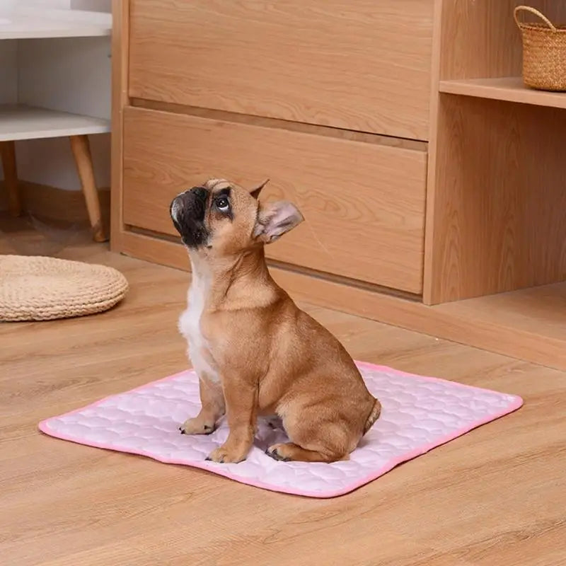 Kühlende Hunde/-Katzenmatte