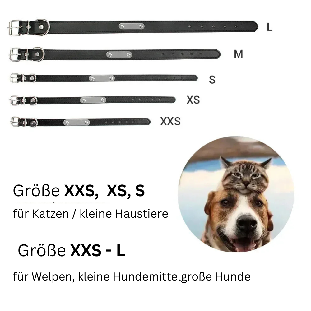 Personalisiertes Anti-Lost Halsband (Namen & Telefonnummer)