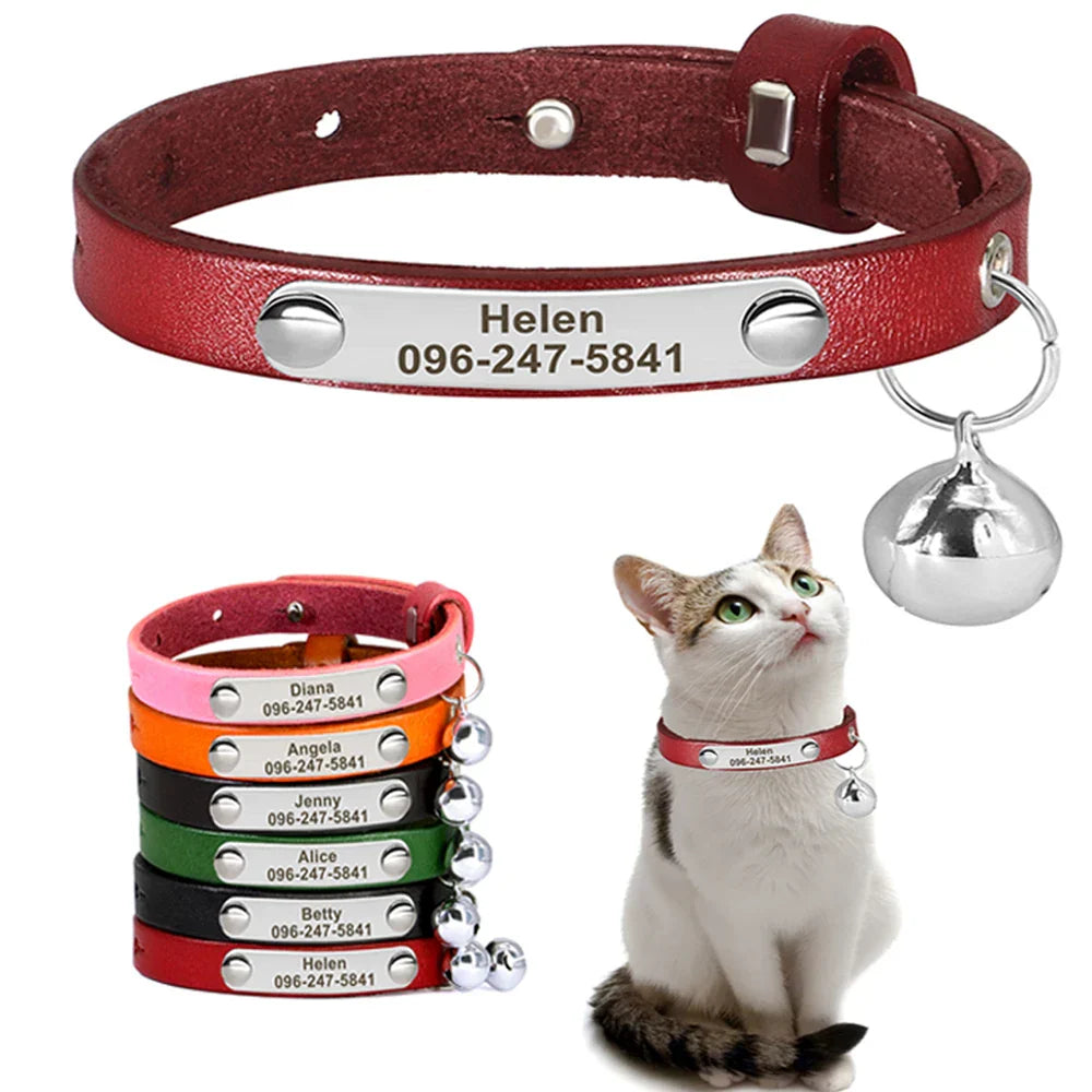 Personalized red leather dog collar with engraved name and phone number, adjustable with a bell for cats and small dogs.