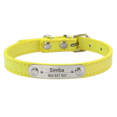 Personalisiertes Anti-Lost Halsband (Namen & Telefonnummer)