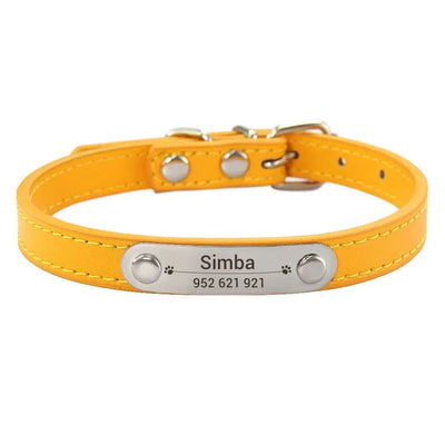 Personalisiertes Anti-Lost Halsband (Namen & Telefonnummer)