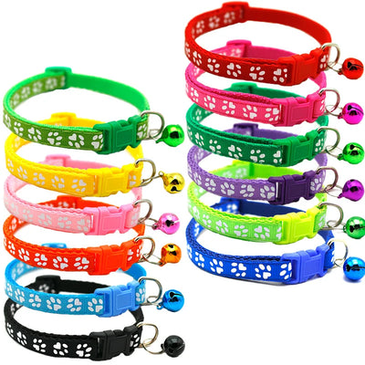 Buntes Haustierhalsband mit Glöckchen & Pfotenmuster