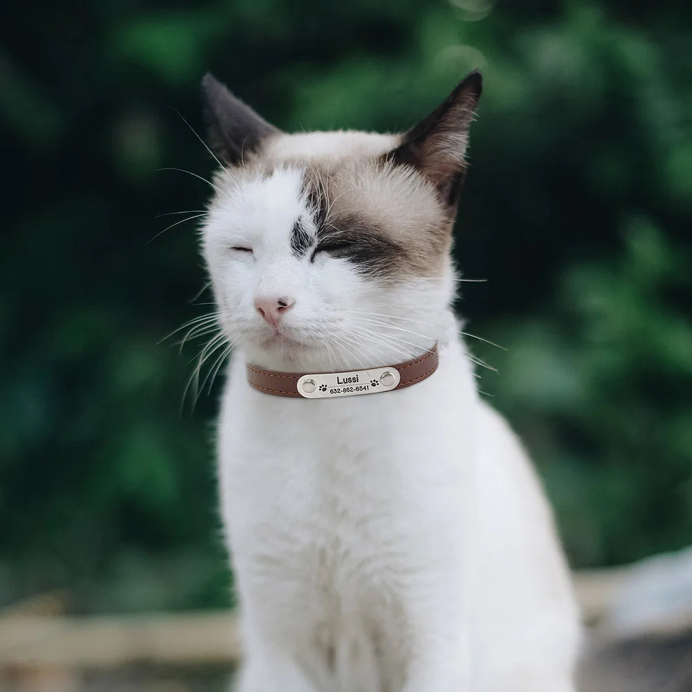 Personalisiertes Anti-Lost Halsband (Namen & Telefonnummer)