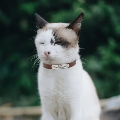 Personalisiertes Anti-Lost Halsband (Namen & Telefonnummer)