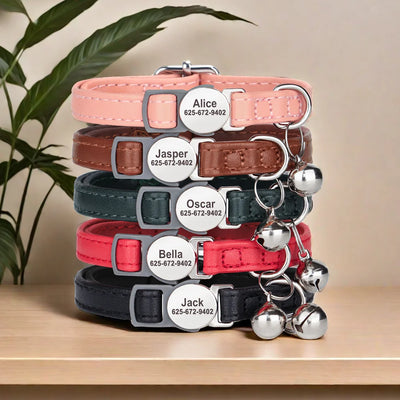 Anti-Verlust Halsband (Name & Telefon)