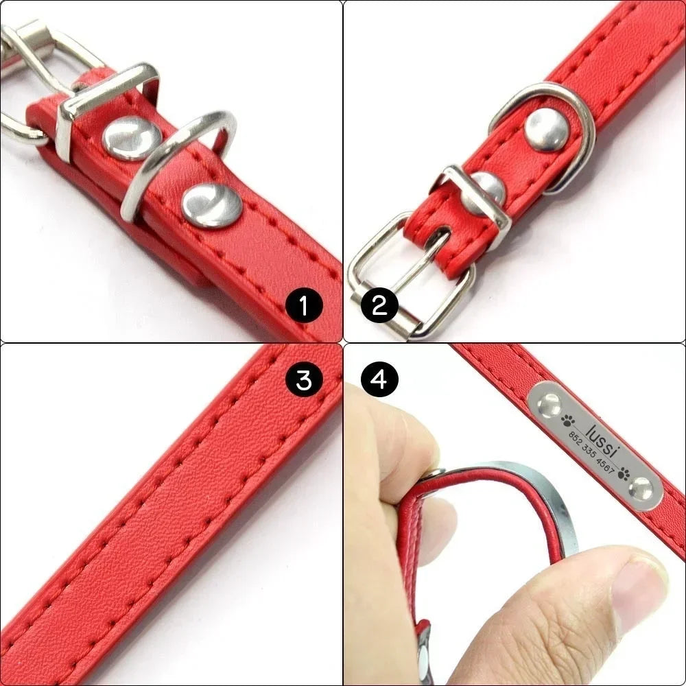 Personalisiertes Anti-Lost Halsband (Namen & Telefonnummer)