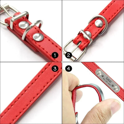 Personalisiertes Anti-Lost Halsband (Namen & Telefonnummer)