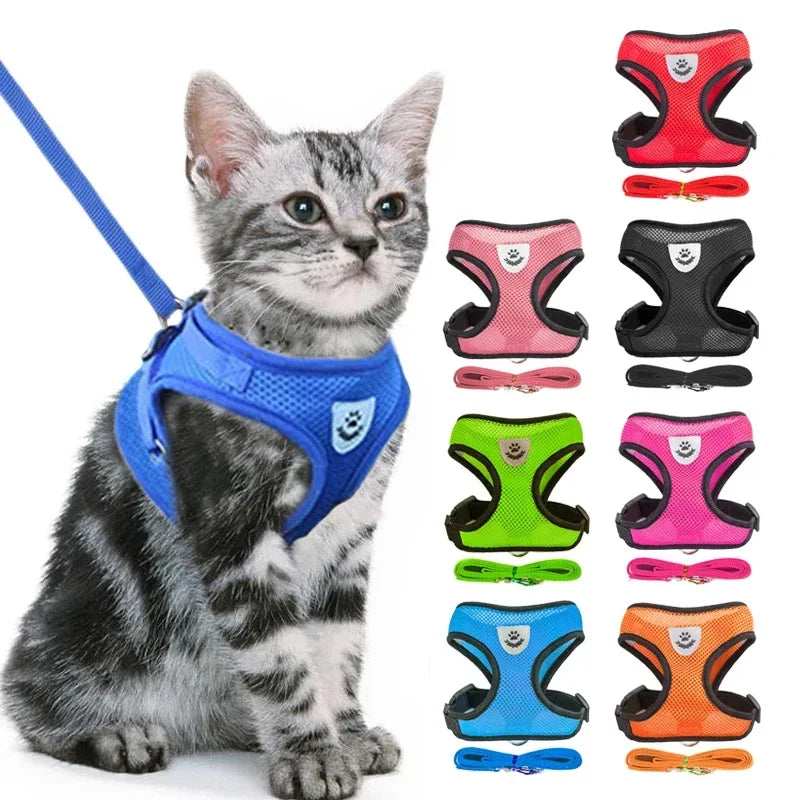 Katzen- & Hundegeschirr mit Leine