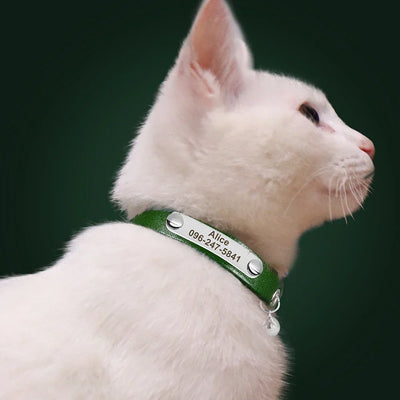 White cat wearing green personalized leather collar with engraved name and phone number, adjustable with bell for small pets, on dark green background
