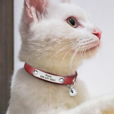 White cat wearing personalized pink leather collar with name tag and bell, adjustable pet Lederhalsband for cats and small dogs.
