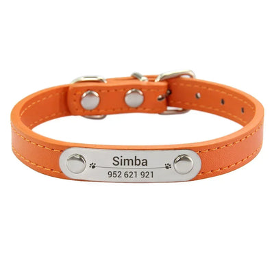 Personalisiertes Anti-Lost Halsband (Namen & Telefonnummer)