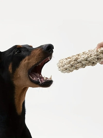 Kauseil für Hunde