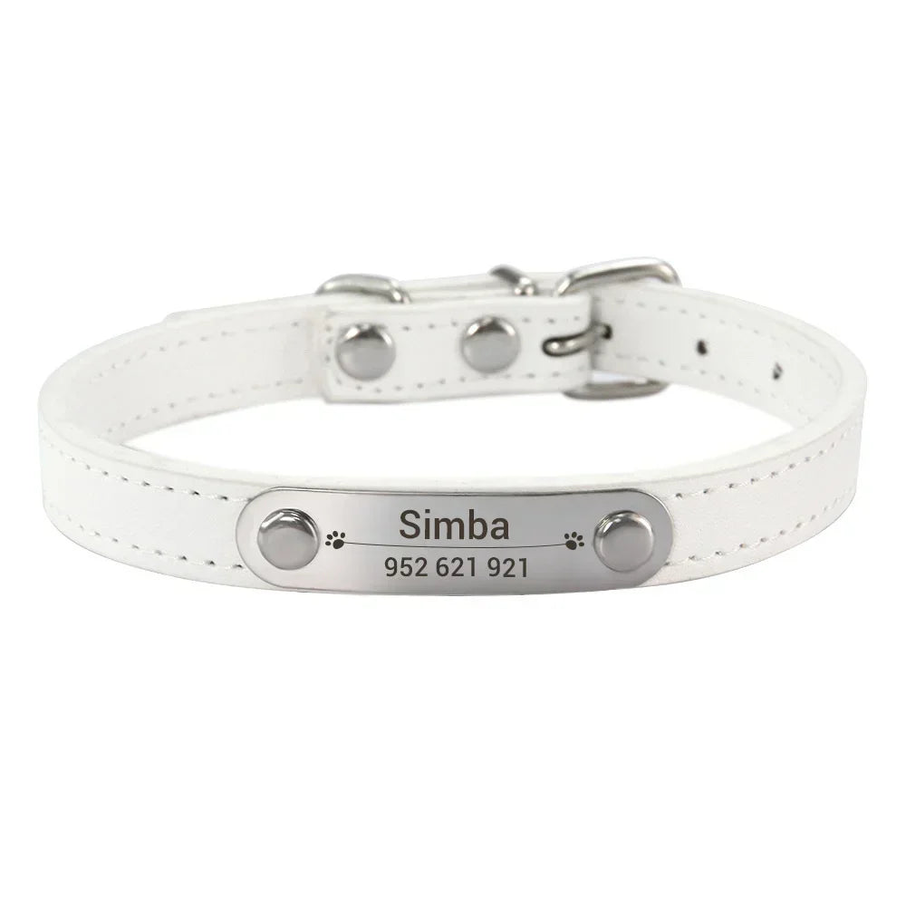 Personalisiertes Anti-Lost Halsband (Namen & Telefonnummer)