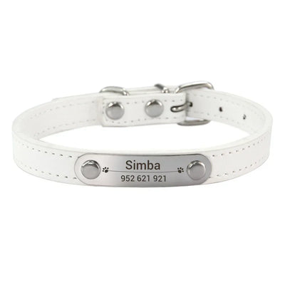 Personalisiertes Anti-Lost Halsband (Namen & Telefonnummer)