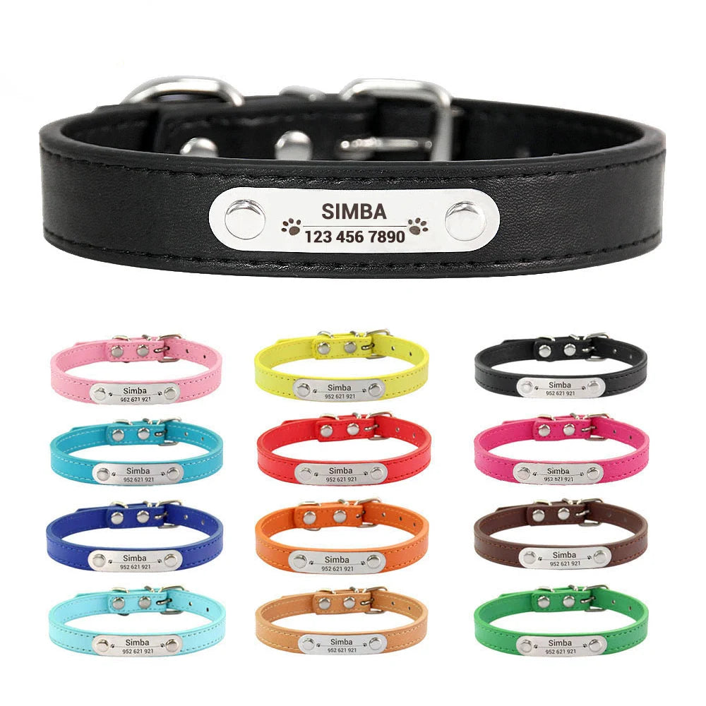 Personalisiertes Anti-Lost Halsband (Namen & Telefonnummer)