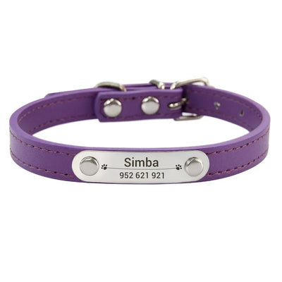 Personalisiertes Anti-Lost Halsband (Namen & Telefonnummer)