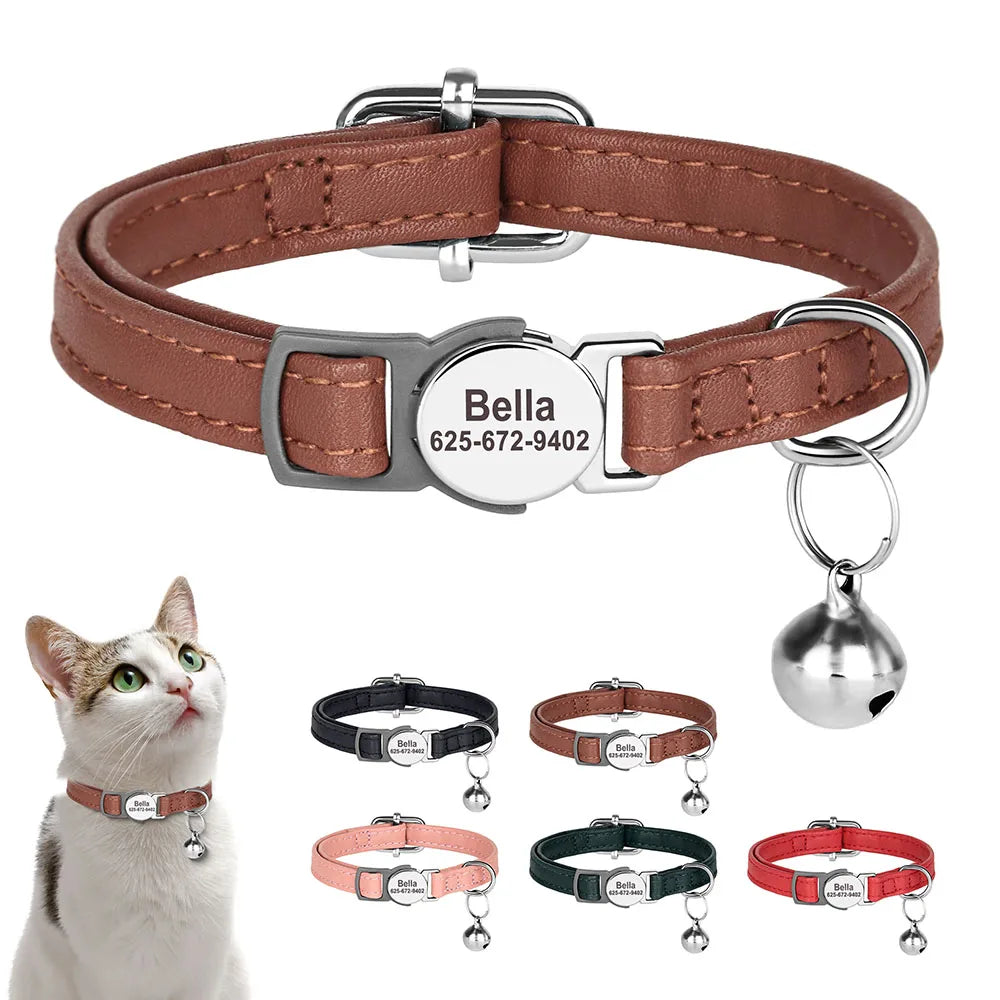 Anti-Verlust Halsband (Name & Telefon)