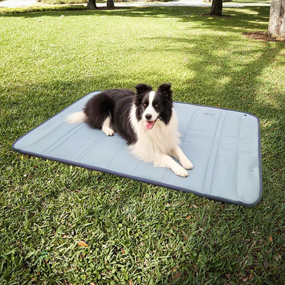 Tragbare Hundematte