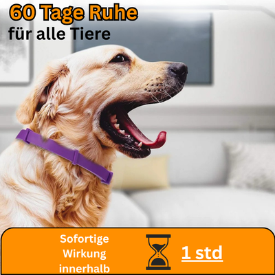 Anti-Stress-Halsband mit natürlichen Pheromonen