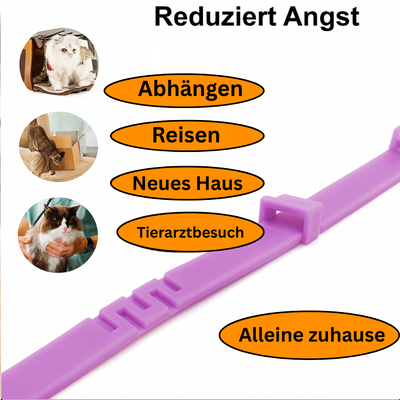 Anti-Stress-Halsband mit natürlichen Pheromonen