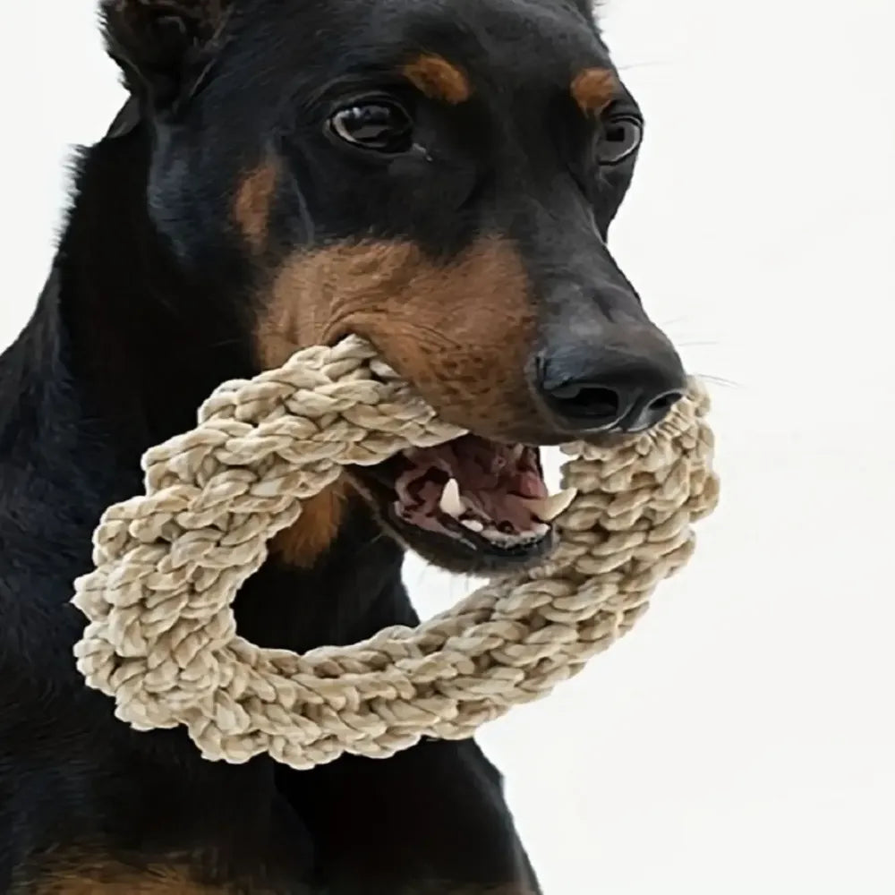 Kauseil für Hunde